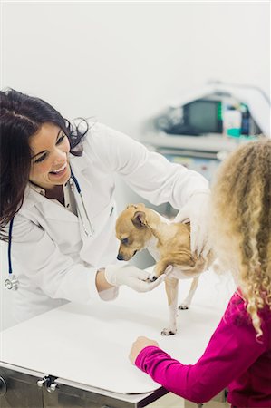 simsearch:6109-08537861,k - Vet examining dog Stock Photo - Premium Royalty-Free, Code: 6109-08536628