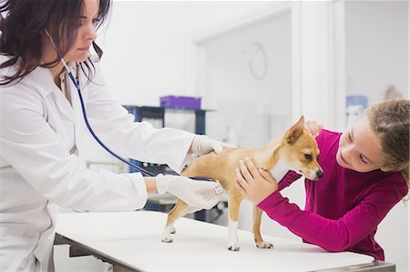 simsearch:6109-08537861,k - Girl petting her pet dog while vet examining Stock Photo - Premium Royalty-Free, Code: 6109-08536633