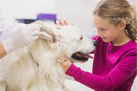 simsearch:6109-08537861,k - Girl holding her pet dog while vet examining his ear Stock Photo - Premium Royalty-Free, Code: 6109-08536637