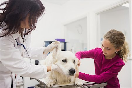 simsearch:6109-08537861,k - Girl holding her pet dog while vet examining his ear Stock Photo - Premium Royalty-Free, Code: 6109-08536636