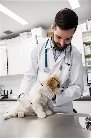 simsearch:6109-08537861,k - Vet examining a dog Stock Photo - Premium Royalty-Free, Code: 6109-08537797