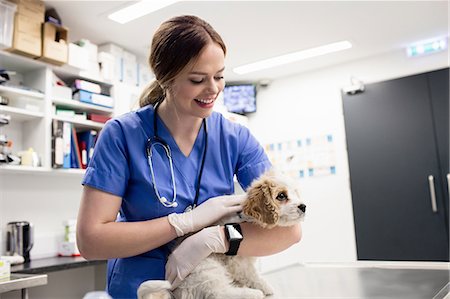 simsearch:6109-08537861,k - Vet examining a dog Stock Photo - Premium Royalty-Free, Code: 6109-08537798