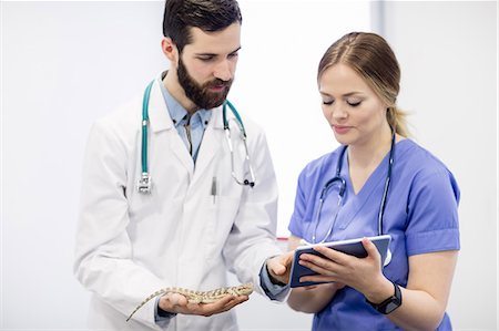 Vet examining a lizard with digital tablet Stock Photo - Premium Royalty-Free, Code: 6109-08537816