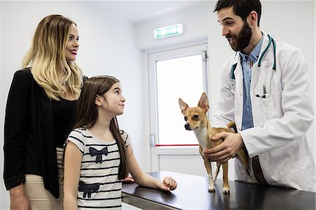 Vet examining dog with its owner Stock Photo - Premium Royalty-Free, Code: 6109-08537820