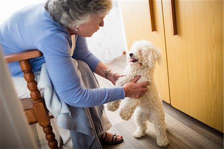 pet shelter - Senior woman playing with dog Stock Photo - Premium Royalty-Free, Code: 6109-08538238