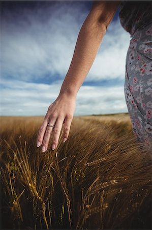 simsearch:6109-07498113,k - Womans hand touching wheat in field on a sunny day in the countryside Stock Photo - Premium Royalty-Free, Code: 6109-08764807