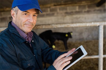 domestic cattle - Portrait of confident farm worker using digital tablet at barn Stock Photo - Premium Royalty-Free, Code: 6109-08700412