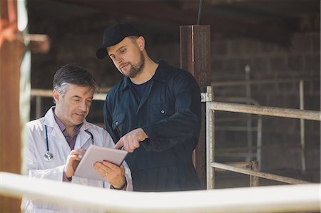 Farm worker pointing at tablet computer while discussing with vet at shed Stock Photo - Premium Royalty-Free, Code: 6109-08700417