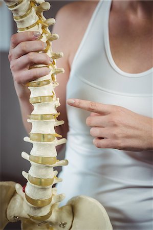 pelvic therapy - Mid section of female physiotherapist pointing at spine model in the clinic Stock Photo - Premium Royalty-Free, Code: 6109-08701791