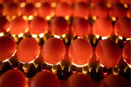 Eggs in lighting control quality in egg factory Photographie de stock - Premium Libres de Droits, Code: 6109-08739354