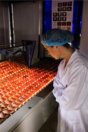 record (file of information) - Female staff examining eggs in lighting control quality in egg factory Stock Photo - Premium Royalty-Free, Code: 6109-08739396