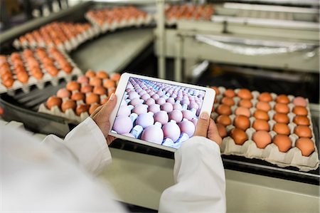 record (file of information) - Mid section of female staff tacking picture of egg cartons on digital table in factory Stock Photo - Premium Royalty-Free, Code: 6109-08739414