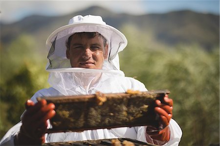 Portrait of male apiarist holding hive frame at apiary Photographie de stock - Premium Libres de Droits, Code: 6109-08953461