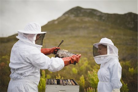 Male and female beekeepers examining beehive in apiary Stock Photo - Premium Royalty-Free, Code: 6109-08953421