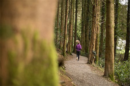 simsearch:400-04535435,k - Rear view of woman jogging in forest Stock Photo - Premium Royalty-Free, Code: 6109-08953852
