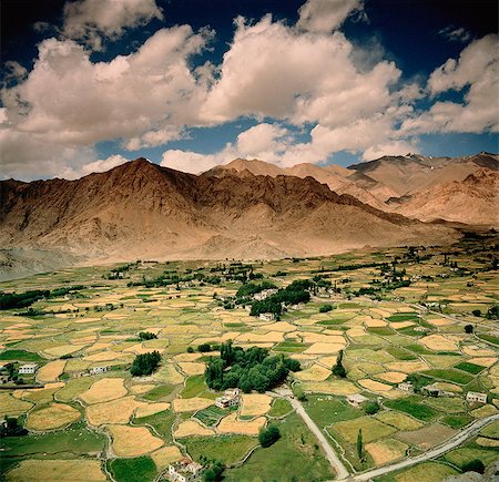 Fields of Ladakh India Stock Photo - Premium Royalty-Free, Code: 6110-08715106