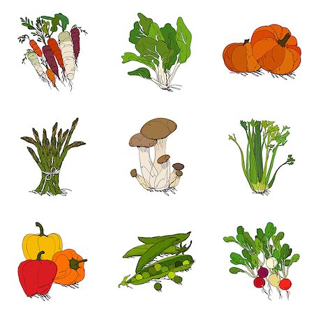 food icons - Set of various vegetable related icons Stock Photo - Premium Royalty-Free, Code: 6111-06838195