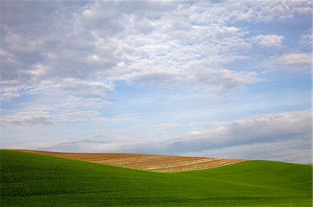 Clouds in blue sky over rolling hillside Foto de stock - Royalty Free Premium, Número: 6113-06498424