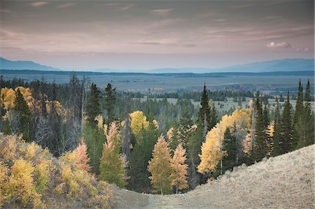 Autumn trees in rural landscape Stock Photo - Premium Royalty-Free, Code: 6113-06625520