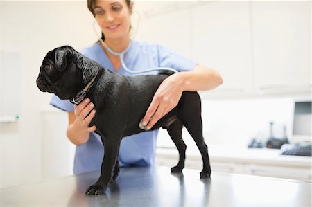 simsearch:6113-06626455,k - Veterinarian examining dog in vet's surgery Foto de stock - Sin royalties Premium, Código: 6113-06626455