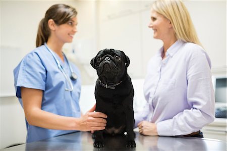 simsearch:6113-06626455,k - Veterinarian and owner discussing dog in vet's surgery Foto de stock - Sin royalties Premium, Código: 6113-06626464