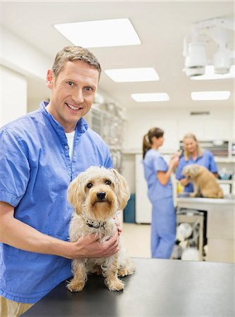 simsearch:6113-06626455,k - Veterinarian examining dog in vet's surgery Foto de stock - Sin royalties Premium, Código: 6113-06626469