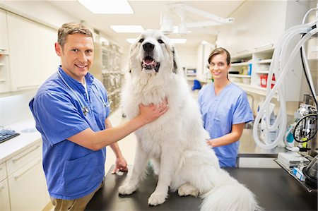 simsearch:6113-06626455,k - Veterinarian s examining dog in vet's surgery Foto de stock - Sin royalties Premium, Código: 6113-06626495