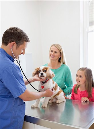 Veterinarian and owners examining dog in vet's surgery Foto de stock - Sin royalties Premium, Código: 6113-06626436