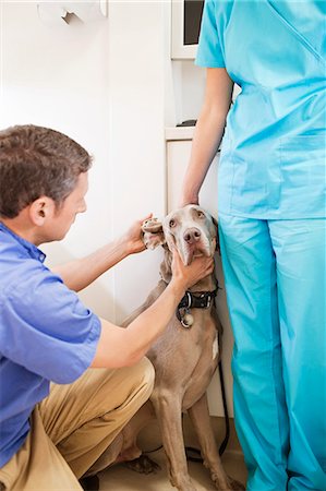 simsearch:6113-06626455,k - Veterinarian examining dog in vet's surgery Foto de stock - Sin royalties Premium, Código: 6113-06626500