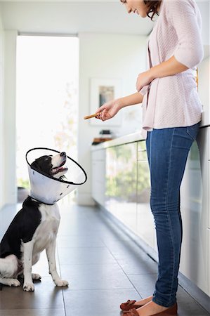 simsearch:6113-06720984,k - Woman giving dog in cone treat in kitchen Foto de stock - Sin royalties Premium, Código: 6113-06720951