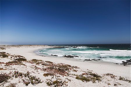 Waves rolling up on sandy beach Fotografie stock - Premium Royalty-Free, Codice: 6113-07160797