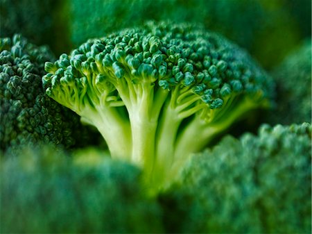 Extreme close up of raw broccoli Photographie de stock - Premium Libres de Droits, Code: 6113-07565158