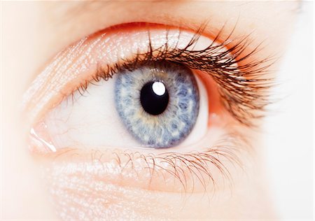 Extreme close up of blue eye Photographie de stock - Premium Libres de Droits, Code: 6113-07565316