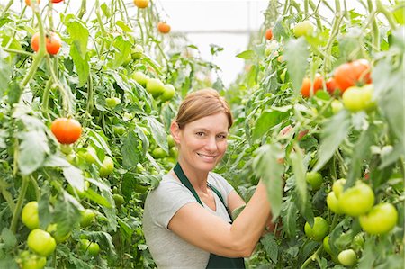 simsearch:6113-07589172,k - Portrait of woman tending to tomato plants in greenhouse Stock Photo - Premium Royalty-Free, Code: 6113-07589143