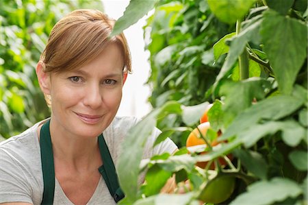 simsearch:6113-07589172,k - Portrait of smiling woman next to tomato plants in greenhouse Stock Photo - Premium Royalty-Free, Code: 6113-07589141