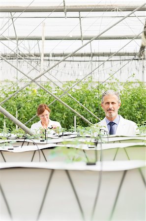 simsearch:6113-07589172,k - Botanists examining plants in greenhouse Stock Photo - Premium Royalty-Free, Code: 6113-07589163