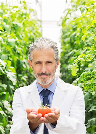 simsearch:6113-07589172,k - Portrait of botanist holding ripe tomato in greenhouse Stock Photo - Premium Royalty-Free, Code: 6113-07589161