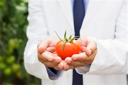 simsearch:6113-07589172,k - Botanist holding ripe tomato Stock Photo - Premium Royalty-Free, Code: 6113-07589182