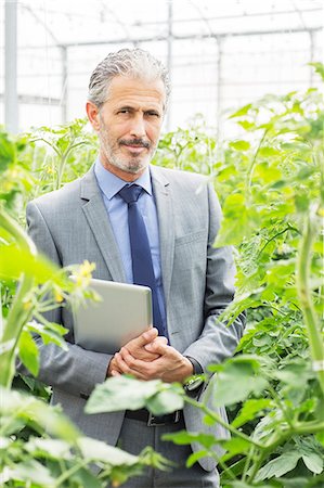 simsearch:6113-07589172,k - Portrait of confident business owner among tomato plants in greenhouse Stock Photo - Premium Royalty-Free, Code: 6113-07589205