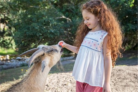 Girl feeding animal in forest Stock Photo - Premium Royalty-Free, Code: 6113-07731266