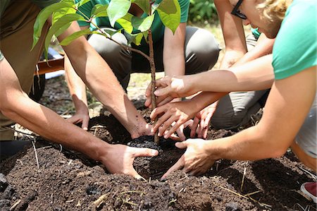 People planting tree seedling together Stock Photo - Premium Royalty-Free, Code: 6113-07808431
