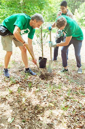 Environmentalist volunteers planting new tree Stock Photo - Premium Royalty-Free, Code: 6113-08088011
