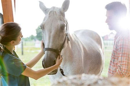 people with horses - Veterinarian examining horse Foto de stock - Sin royalties Premium, Código: 6113-08220446