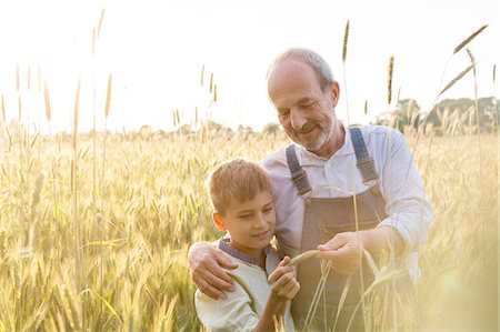 family outdoors active - Farmer grandfather and grandson examining rural wheat crop Photographie de stock - Premium Libres de Droits, Code: 6113-08220454
