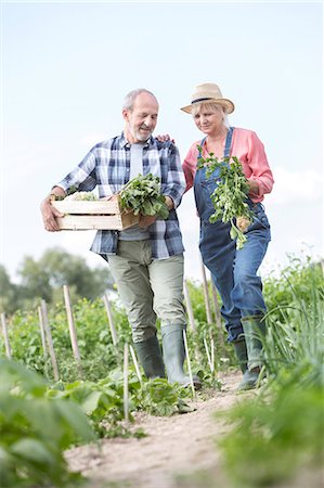 senior female candid - Senior couple harvesting vegetables in garden Stock Photo - Premium Royalty-Free, Code: 6113-08220470