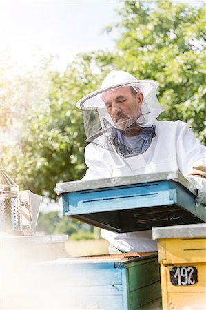 entry field - Beekeeper in protective clothing carrying removing beehive lid Stock Photo - Premium Royalty-Free, Code: 6113-08220510