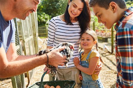 Family harvesting fresh eggs from chicken Stock Photo - Premium Royalty-Free, Code: 6113-08424208