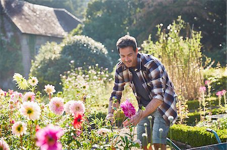 pruning - Man pruning flowers in sunny garden Stock Photo - Premium Royalty-Free, Code: 6113-08424225