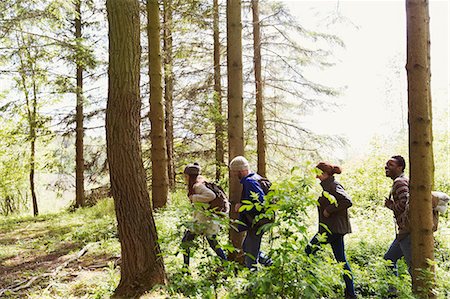 simsearch:6113-07542497,k - Friends hiking in a row in sunny woods Stock Photo - Premium Royalty-Free, Code: 6113-08743416