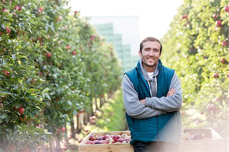 rural scene - Portrait smiling male farmer harvesting in apple orchard Stock Photo - Premium Royalty-Free, Code: 6113-08805790